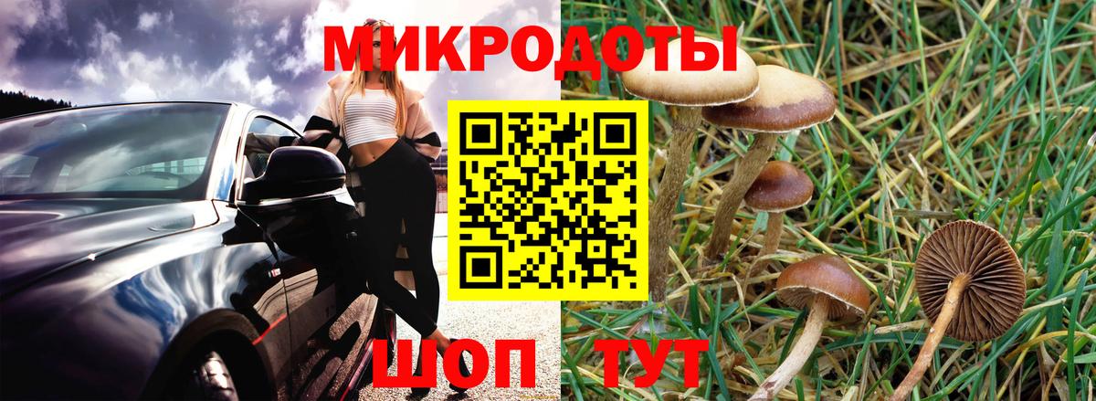 Псилоцибиновые грибы GOLDEN TEACHER  Вход с VPN  купить наркотики сайты  Вязники 