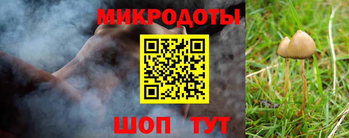 Псилоцибиновые грибы прущие грибы Вязники